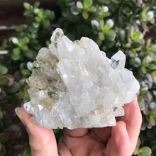 Clear Quartz Cluster SKU 12211