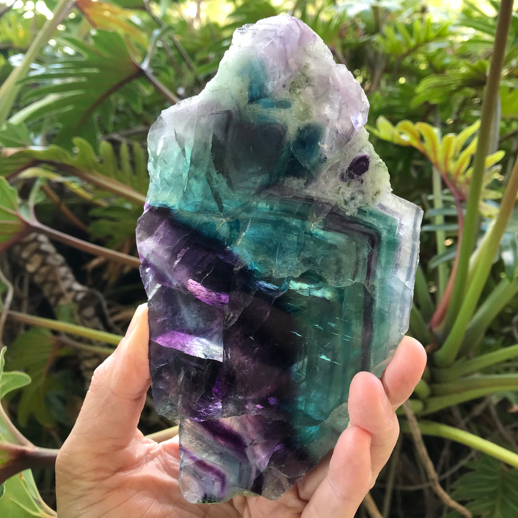 Rainbow Fluorite Slice SKU 20977