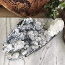 Apophyllite Cluster SKU 19898