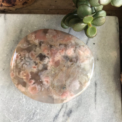 Flower Agate Palm Stone SKU 19848