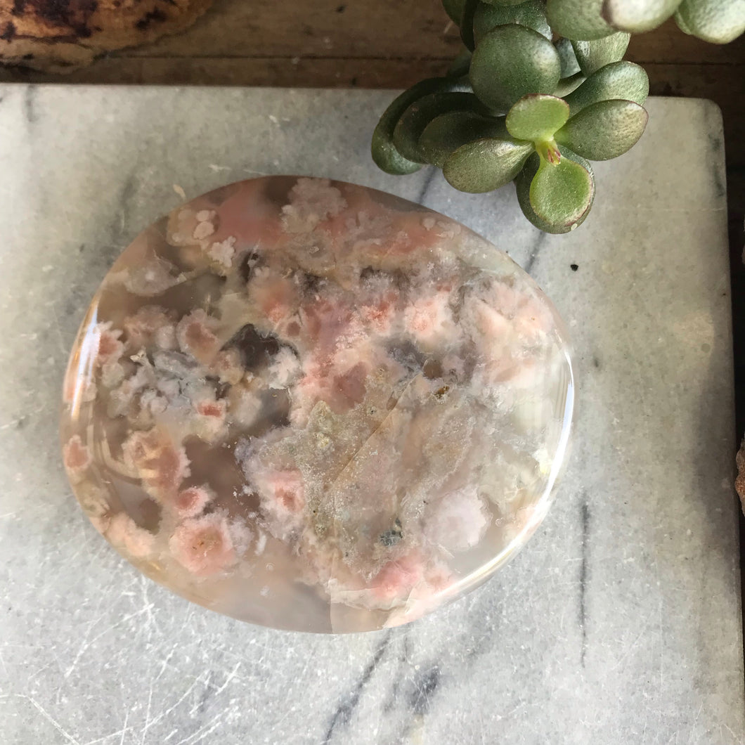 Flower Agate Palm Stone SKU 19848