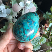 Chrysocolla Egg SKU 15784