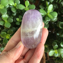 Amethyst Palm Stone SKU 20272