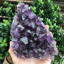 Amethyst Cluster SKU 20569