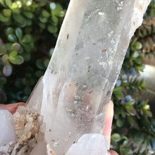 Himalayan Quartz Cluster SKU 18857