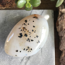 Dendritic Agate Palm Stone SKU 20276