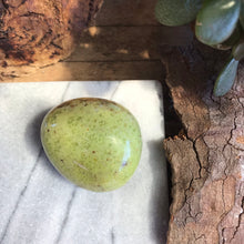 Green Opal Palm Stone SKU 17191