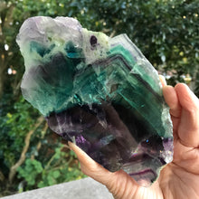 Rainbow Fluorite Slice SKU 20977