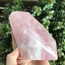 Rose Quartz Freeform SKU 21331