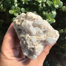 Tourmaline in Matrix Cluster SKU 19266