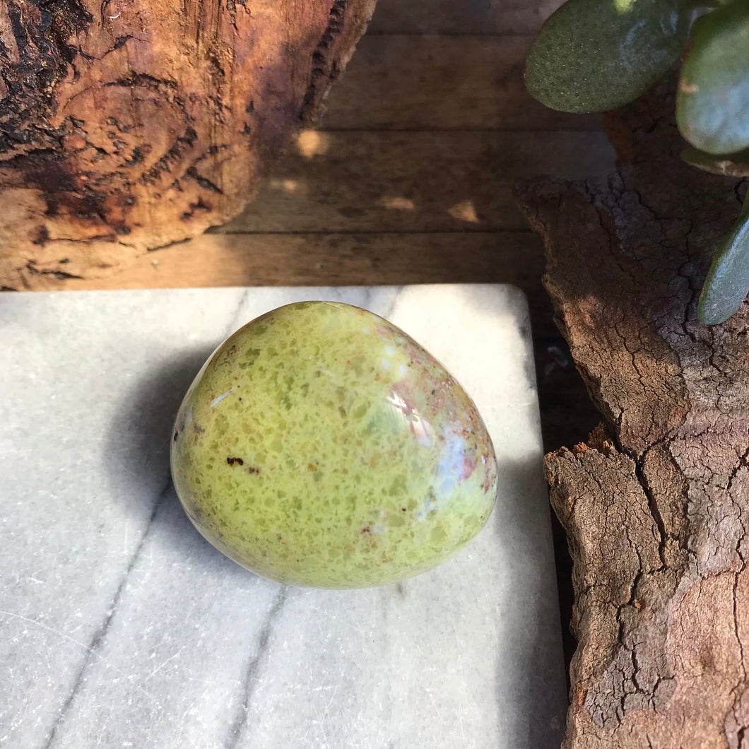 Green Opal Palm Stone SKU 17191