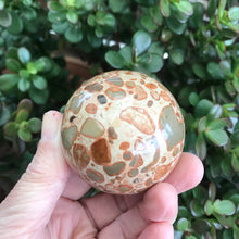 Leopardite Sphere SKU 19052