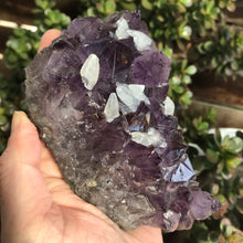 Amethyst and Dogtooth Calcite Cluster SKU 18883