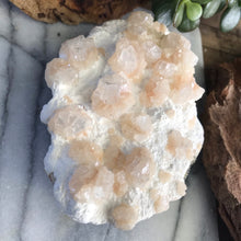 Apophyllite, Mordenite and Stilbite Cluster SKU 18459