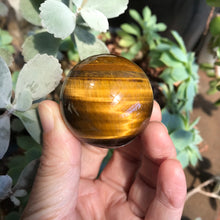 Tiger Eye Sphere SKU 10317