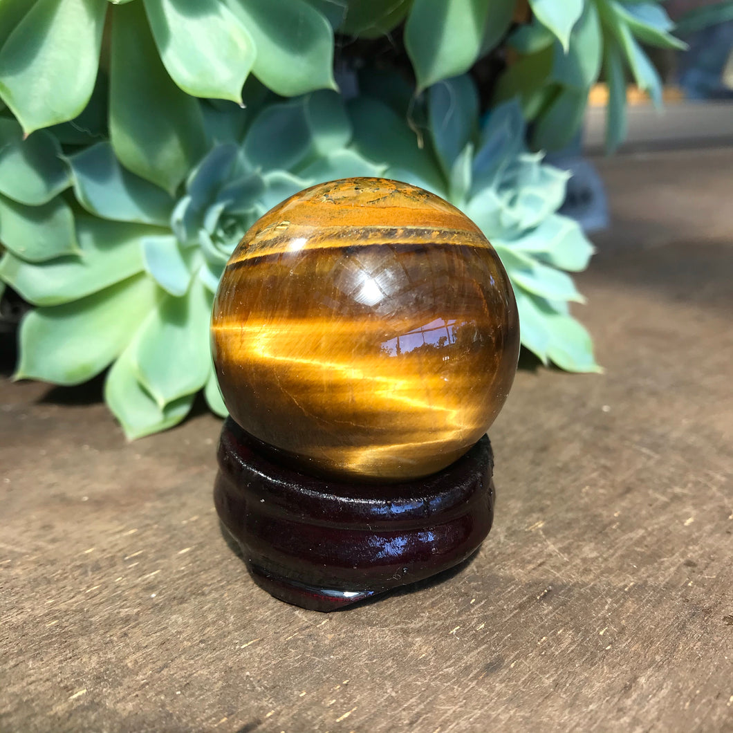 Tiger Eye Sphere SKU 10317