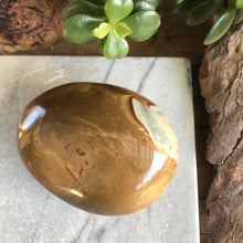 Desert Jasper Extra Large Tumblestone SKU 20451D