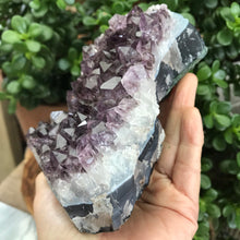 Amethyst Cluster SKU 17941