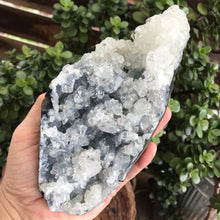 Apophyllite Cluster SKU 19898