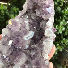 Amethyst Cluster SKU 19769
