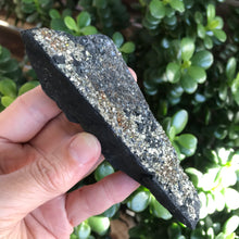Pyrite in Carbon Specimen SKU 20470