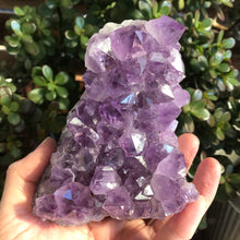 Amethyst Cluster SKU 18882