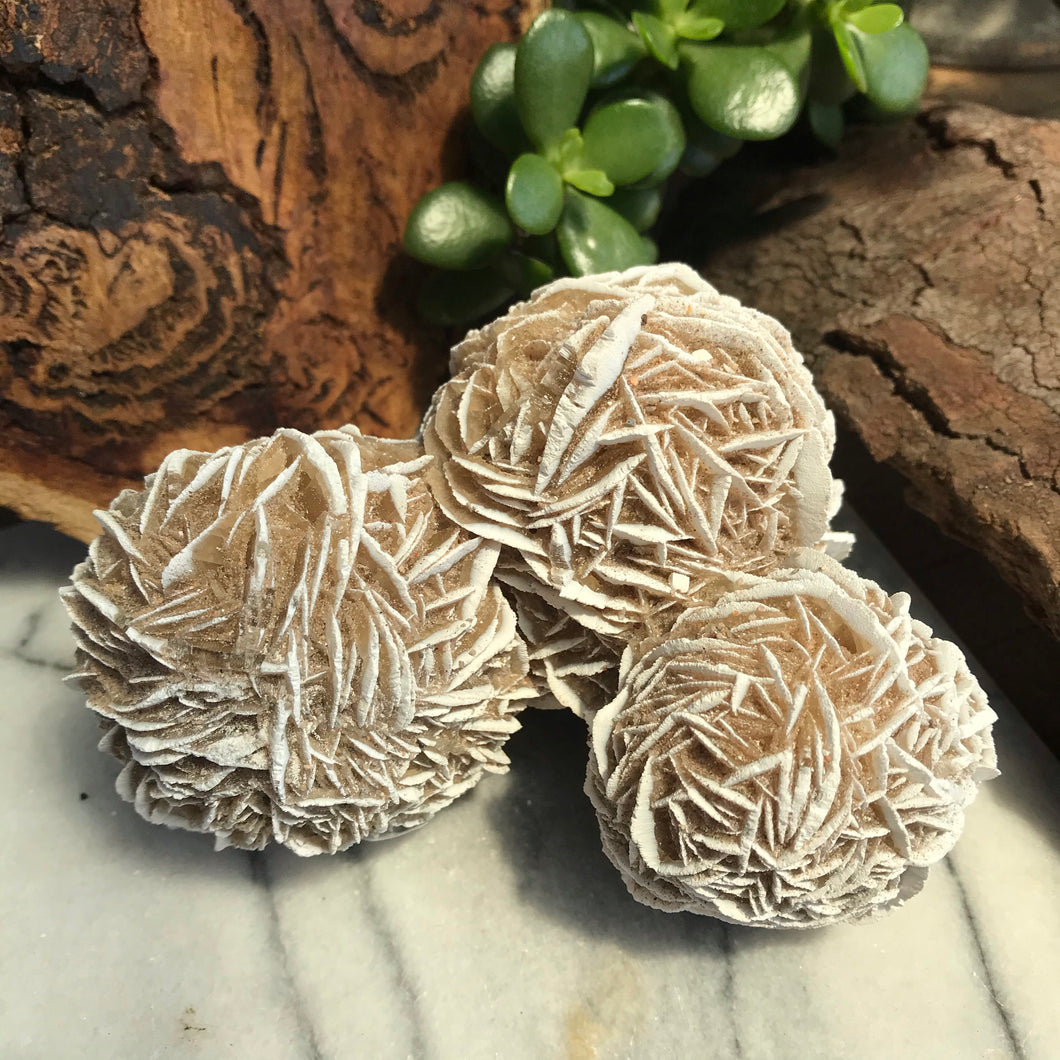 Desert Rose Cluster SKU 17963