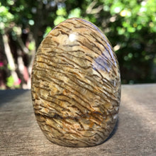 Zebradorite Dome