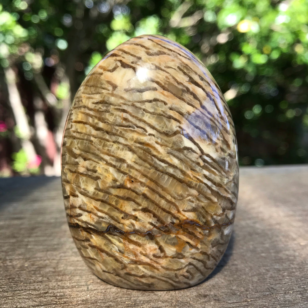 Zebradorite Dome