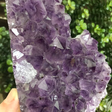 Amethyst Cluster SKU 20874