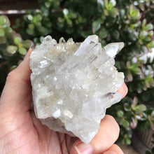 Clear Quartz Cluster SKU 12211