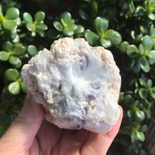 Tourmaline in Matrix Cluster SKU 19266