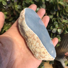 Angelite Part Polished Piece SKU 19113