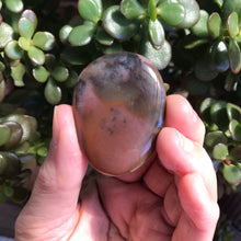 Jasper Smooth Stone SKU 9492J