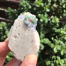 Mixed Tourmaline and Lepidolite Specimen SKU 19268