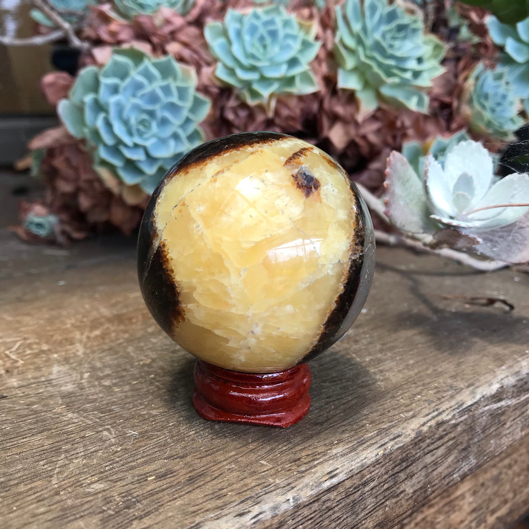 Septarian Sphere SKU 17558