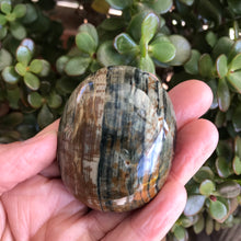 Ocean Jasper Palm Stone SKU 15606
