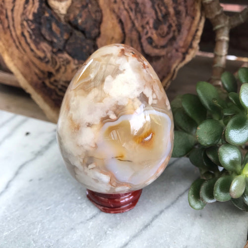 Flower Agate Egg SKU 19551