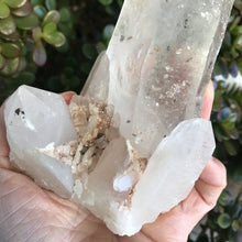 Himalayan Quartz Cluster SKU 18857