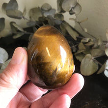 Tiger Eye Egg SKU 21575