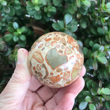 Leopardite Sphere SKU 19052