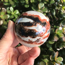 Sardonyx Sphere SKU 18712