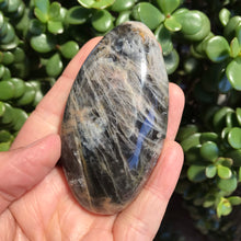 Black Moonstone Palm Stone SKU 19840