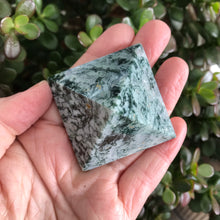 Tree Agate Pyramid SKU 18733