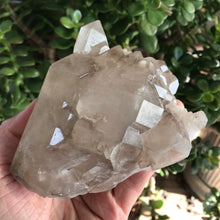 Smoky Elestial Quartz Specimen SKU 17048