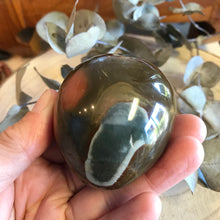 Desert Jasper Palm Stone SKU 21696