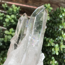 Clear Quartz Cluster SKU 21072