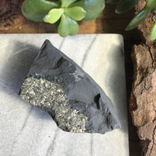 Pyrite in Carbon Specimen SKU 20472