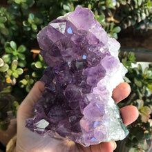 Amethyst Cluster SKU 18882