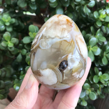 Flower Agate Egg SKU 19551